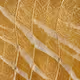 Crypto Texture