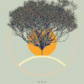 trees-of-life