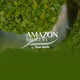 Amazon Brokers Tree Earth