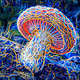 AI Shrooms