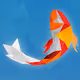 KOI Project