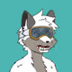 Degen Fox