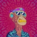 Trippin Ape Club - Limited Edition