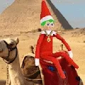 Unshelved Elves Series 1
