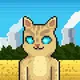 Cat Of Fortune