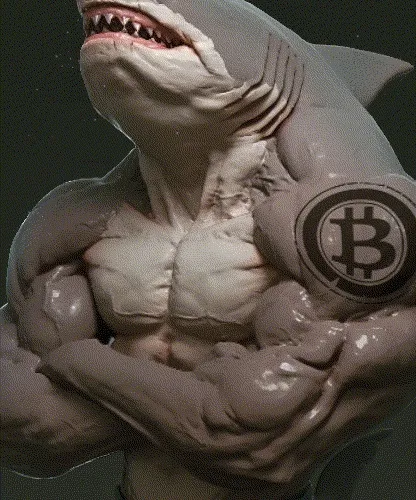 Criptosharks.btc