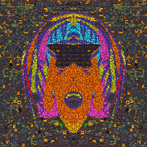 fonky lady