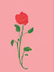 Dreamland Flowers