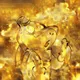 Golden Sharks