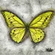 Butterfly Machine