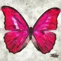 Butterfly Machine