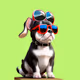 Cute French Bulldogs 3D