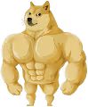 Buff Doge Coin Collection