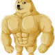 Buff Doge Coin Collection