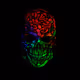 Art of Skulls @D
