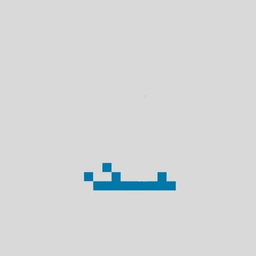 The Baby Dolphin