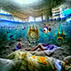 Sea Euphoria
