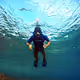 Marine Life Artworks