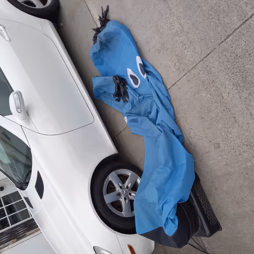 Bofa Style x LowEffortism 2