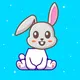 The "Cute" Rabbit