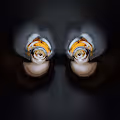 Fractal Faces V (PoS)