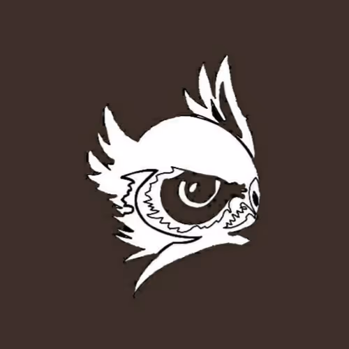 Incomplete Owl