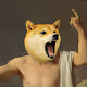 Doge Generals (Polygon)