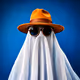 Blank Identity