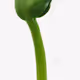 test2022-22