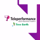 TP - Tree Earth