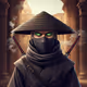 Silent Fury Ninja