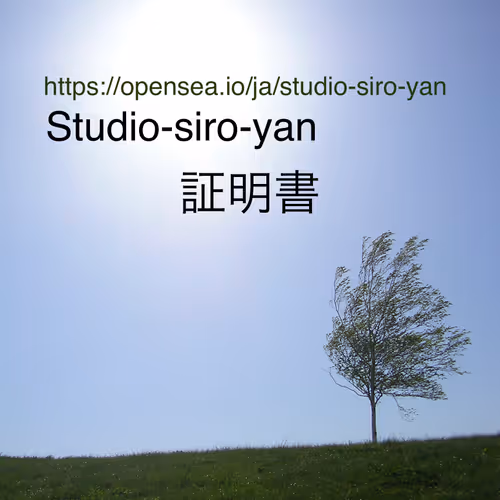 Studio-siro-yan The Special Event