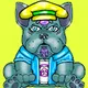 CoolDog frances