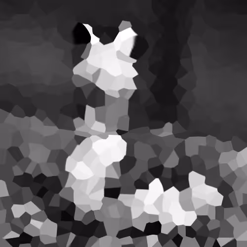 Bruno the Maggot III Collection