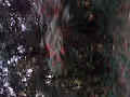 Nature3