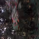 Nature3