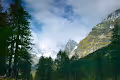 Reflection-Generative Arts