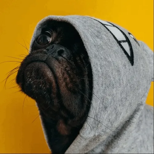 Eco Photography Art NFT Collection