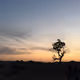 2016Gobi