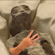 4four