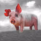 Pork Family