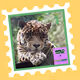 Wild Friends: Cubai #1