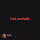 not a whale