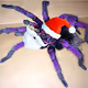 The Holiday Spiders