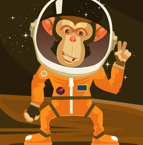 Space monkey