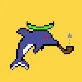 weirddolphins1