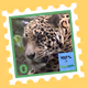 Wild Friends: Cubai #0
