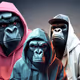 Monkey 44