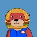 Otter Academy Polygon - Official