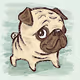 Small dog